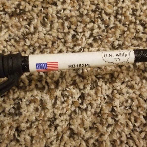 Costume Whip - Picture 2 of 3